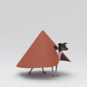 为狗狗设计的建筑