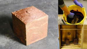 新型建筑材料——血砖