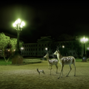 夜间荧光安全贴片