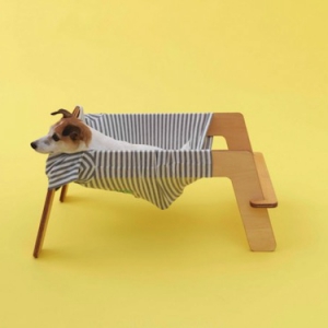 废旧衣服大改造之狗狗的新蹦床