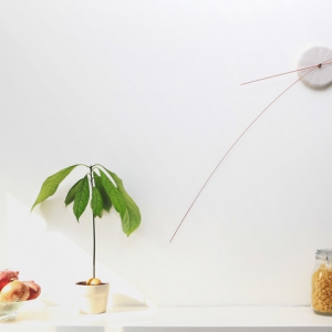 优雅的触须挂钟