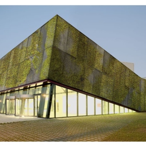 适合藻类生长的有机生物混凝土