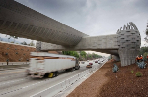 奇异的花篮桥墩