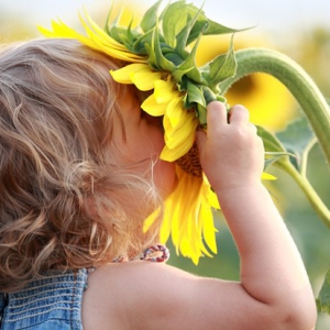 让你感觉不出的「白味道」