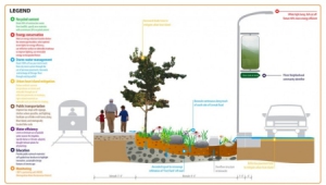 全美最绿色街道