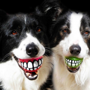 趣味玩具之坏坏的汪星人