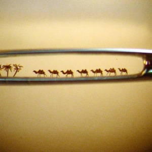 穿过针眼的骆驼