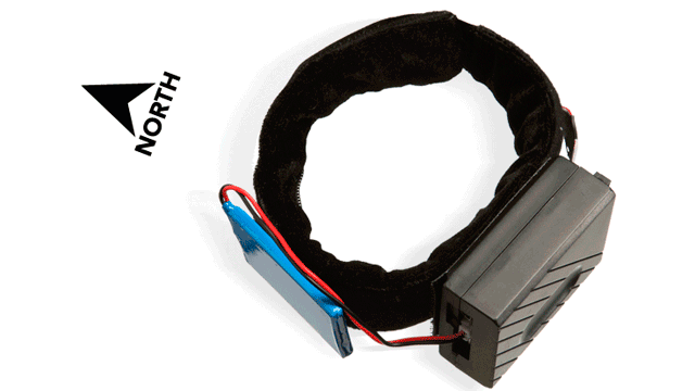 脚踝上的振动指南针