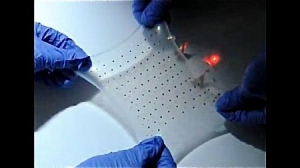 可拉伸的柔性锂电池