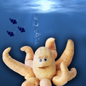 食物世界之萌宠动物集锦