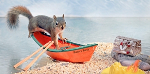 小松鼠的奇幻世界