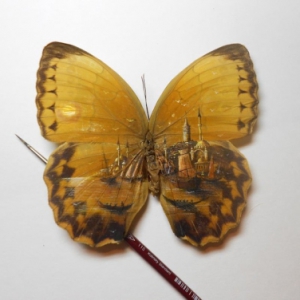 精妙绝伦的袖珍风景画