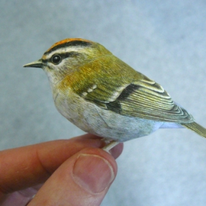 以假乱真的3D纸鸟