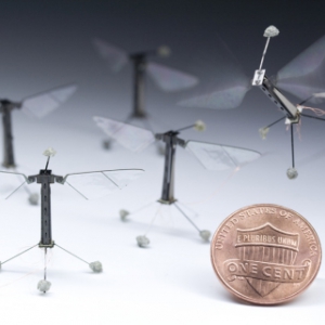 世界最小的苍蝇机器人