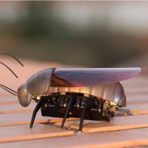 iphone遥控昆虫机器人