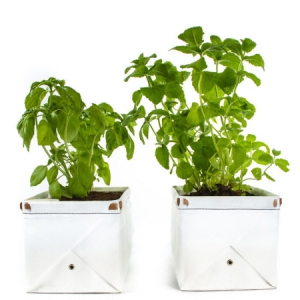 “自助浇水”的折叠花盆