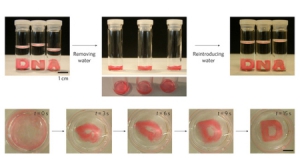 具备形状记忆功能的水凝胶