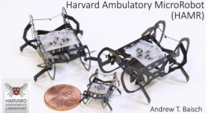 微型爬虫机器人