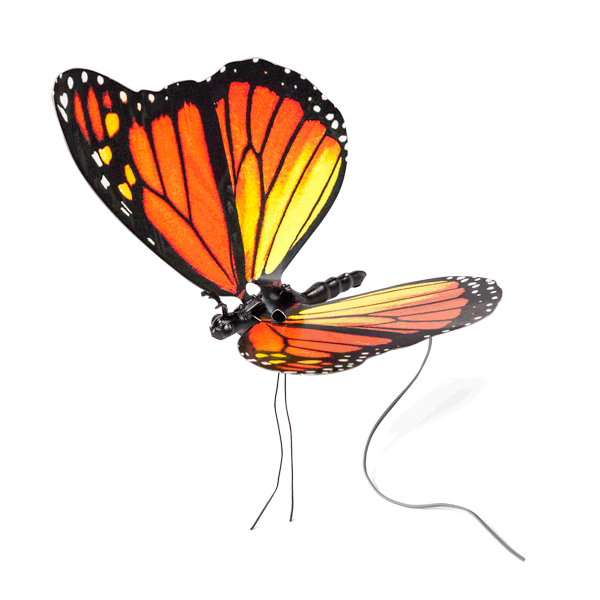 翩翩飞舞的电子蝴蝶