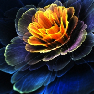 盛开的数字花朵