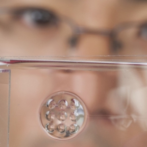 可变焦的仿生镜片