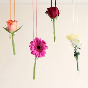 一枝独秀的悬挂花瓶