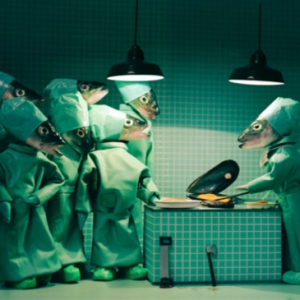 创意鱼头摄影作品