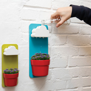 下雨的云朵花盆