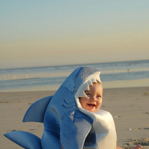 可爱的鲨鱼儿童装