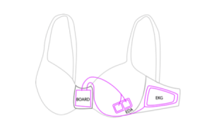 帮助控制饮食的女性内衣