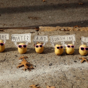 趣味食物小人摆拍