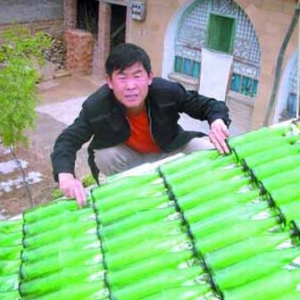 啤酒瓶太阳能热水器