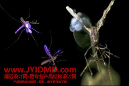 20100224113