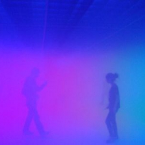 “感觉即真实”光影艺术展