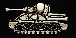 人骨拼图