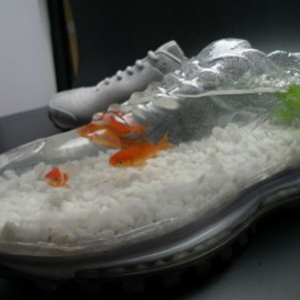耐克鞋鱼缸