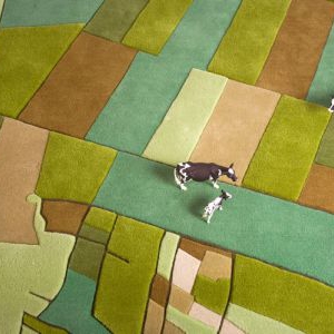 高空鸟瞰图地毯