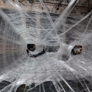 巨大的胶质“蚕茧”