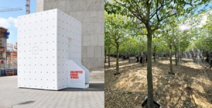 视觉游戏——“一箱”森林