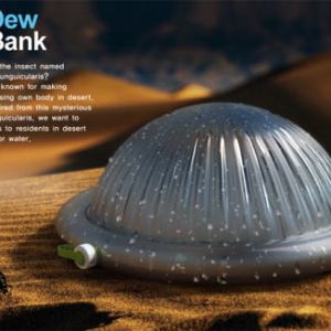 沙漠中的集水器