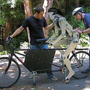 有趣的双人自行车伴侣