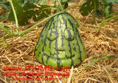 20100727100