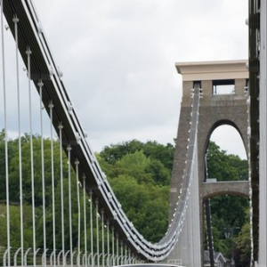 使用沼气的甲壳虫汽车上路咯！