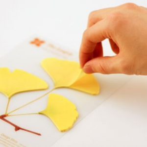 精致的叶片便笺