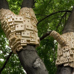 密布在树干上的鸟房子