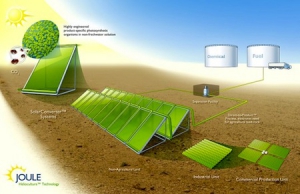 用阳光和二氧化碳制造的环保生物燃料