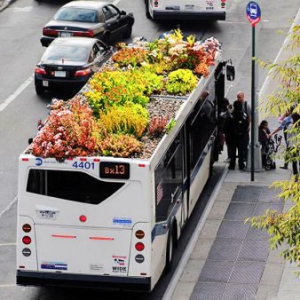公交车顶的移动花园