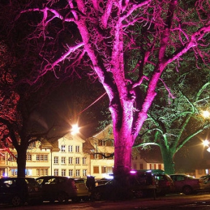 纳米技术植物照明灯