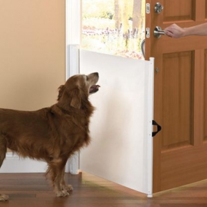 防止狗狗溜走的门帘