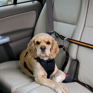 专为狗狗设计的汽车旅行安全设备